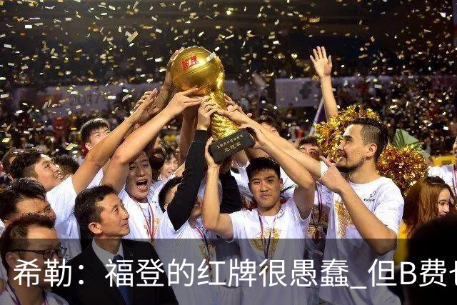 希勒：福登的红牌很愚蠢 但B费也应该被红牌罚下，如果罚就都得罚